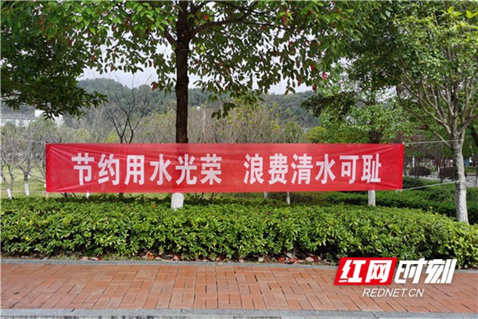 三联航空学院